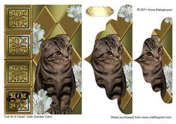 Cat at a Panel Side Stacker Card