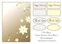 New Bloom Various Occasions Card Front 4