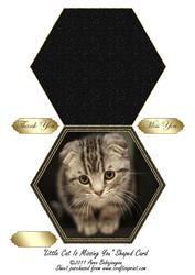 Little Cat is Missing You Shaped Card