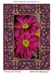 Flowers in Frame