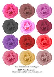 Rose Embellishments/ Mini Toppers
