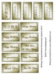 Birthday/ Congratulations/ Anniversary Captions Set 3