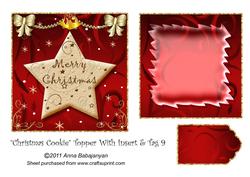 Christmas Cookie Topper with Insert & Tag 9