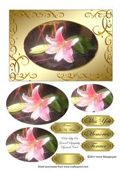 Pink Lily on Ground Sympathy Pyramid Card