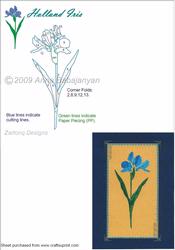 Holland Iris Flower