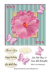 Cute Pink Flower in Frame with Butterflies