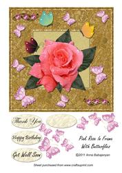 Pink Rose in Frame with Butterflies