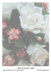 Roses & Carnations Vellum