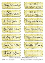 Various Occasions Washed Captions Set 6