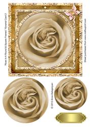Rose in a Round & Square Frames Pyramid Card 3