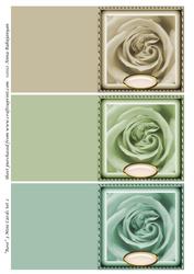 Rose 3 Mini Cards Set 2