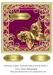 Stunning Topper with Butterfly & Swirly Border 3
