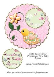Little Paisley Bird Pregnancy/ New Baby Topper