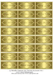 24 Metallic Captions for Various Occasions Set 1