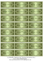 24 Metallic Captions for Various Occasions Set 4