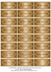 24 Metallic Captions for Various Occasions Set 7