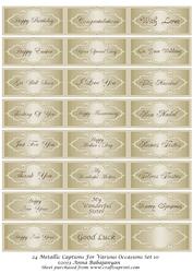 24 Metallic Captions for Various Occasions Set 10