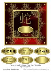 Year of Snake Chinese New Year/ Birthday Square Topper 3