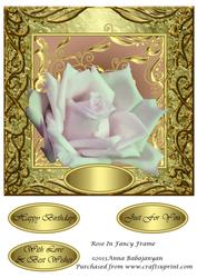 Rose in Fancy Frame