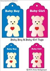 Baby Boy & Baby Girl Tags