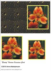 Beauty Various Occasions Card
