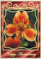 A4 "anniversary" Floral
