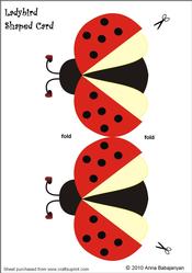 Ladybird Shaped Card