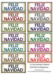 13 Feliz Navidad Captions (spanish)