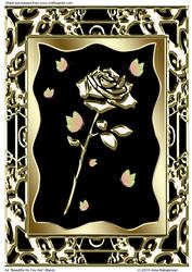 A4 "beautiful as You Are" (black)