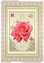 Framed Beautiful Rose with Ornaments & Butterflies
