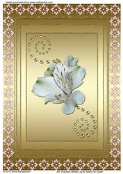 A4 Framed White Lily & Swirls on Gold