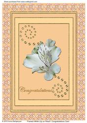 Framed White Lily on Peach Congratulations Card