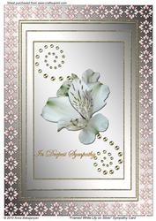 Framed White Lily on Silver Sympathy Card