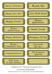 Captions For Various Occasions Set 3