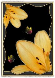Lilies & Butterflies in Frame Various Occasions Card