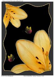 Lilies & Butterflies Various Occasions Card