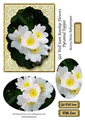 Get Well Soon Rosehip Flowers Pyramid Topper