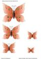 Affection Butterflies (red) Toppers/embellishments