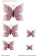 Affection Butterflies (purple) Toppers/embellishments