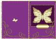 Sumptuous Butterfly & Swirls 5