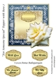 For Someone Special Topper with Rose 7