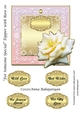 For Someone Special Topper with Rose 10