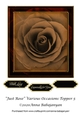 Just Rose Various Occasions Topper 5