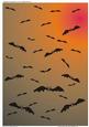 Halloween Sky Full of Bats (3)