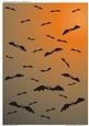 Halloween Sky Full of Bats (4)