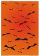 Halloween Sky Full of Bats (5)