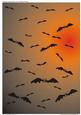 Halloween Sky Full of Bats (6)