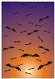 Halloween Sky Full of Bats (7)