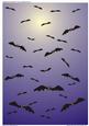 Halloween Sky Full of Bats (8)