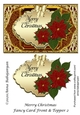 Merry Christmas Fancy Card Front & Topper 2